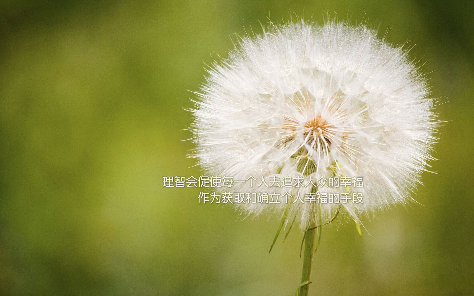 中国足球基础设施建设迎来新一轮升级，中国足球发展规划 体育总局