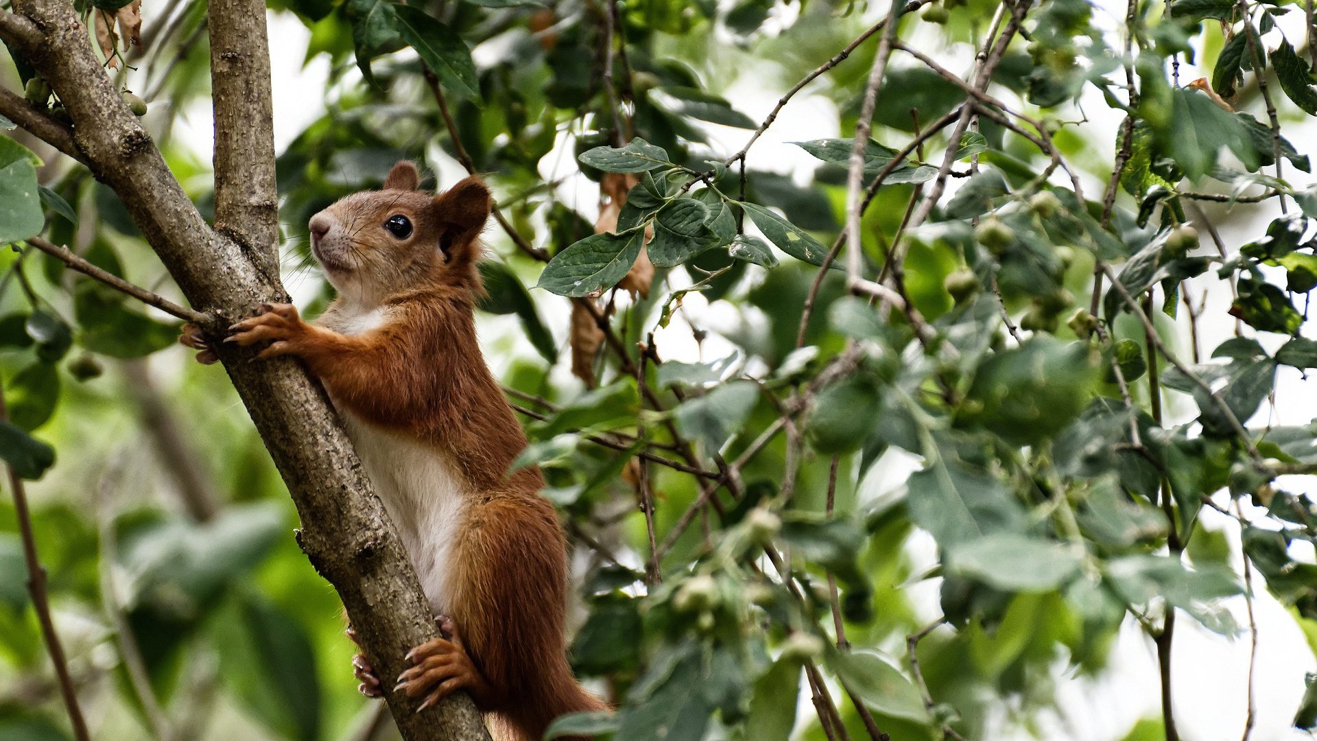 开云注册-2017年西部赛季：库里在一场经典对决中投中10多记三分，创造了历史纪录