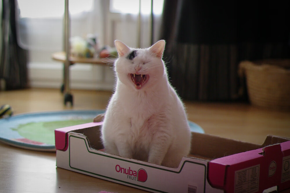 _户外登山遗迹探寻：追访历史的足迹_，户外登山记录路径app