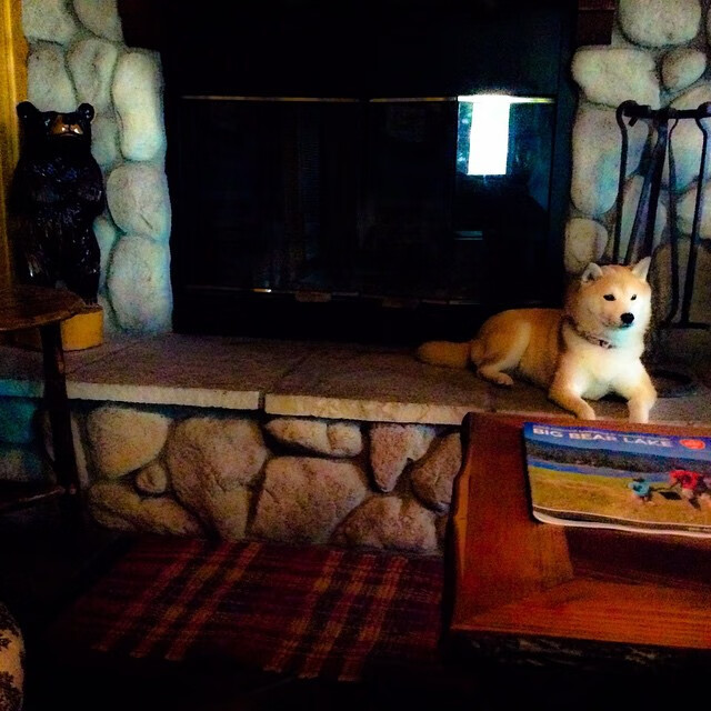 “花式绝杀：联盟中最精彩的终极一投”