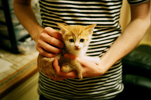 失误成败！上海队关键时刻连续失误，错失反超良机，上海队夺冠阵容