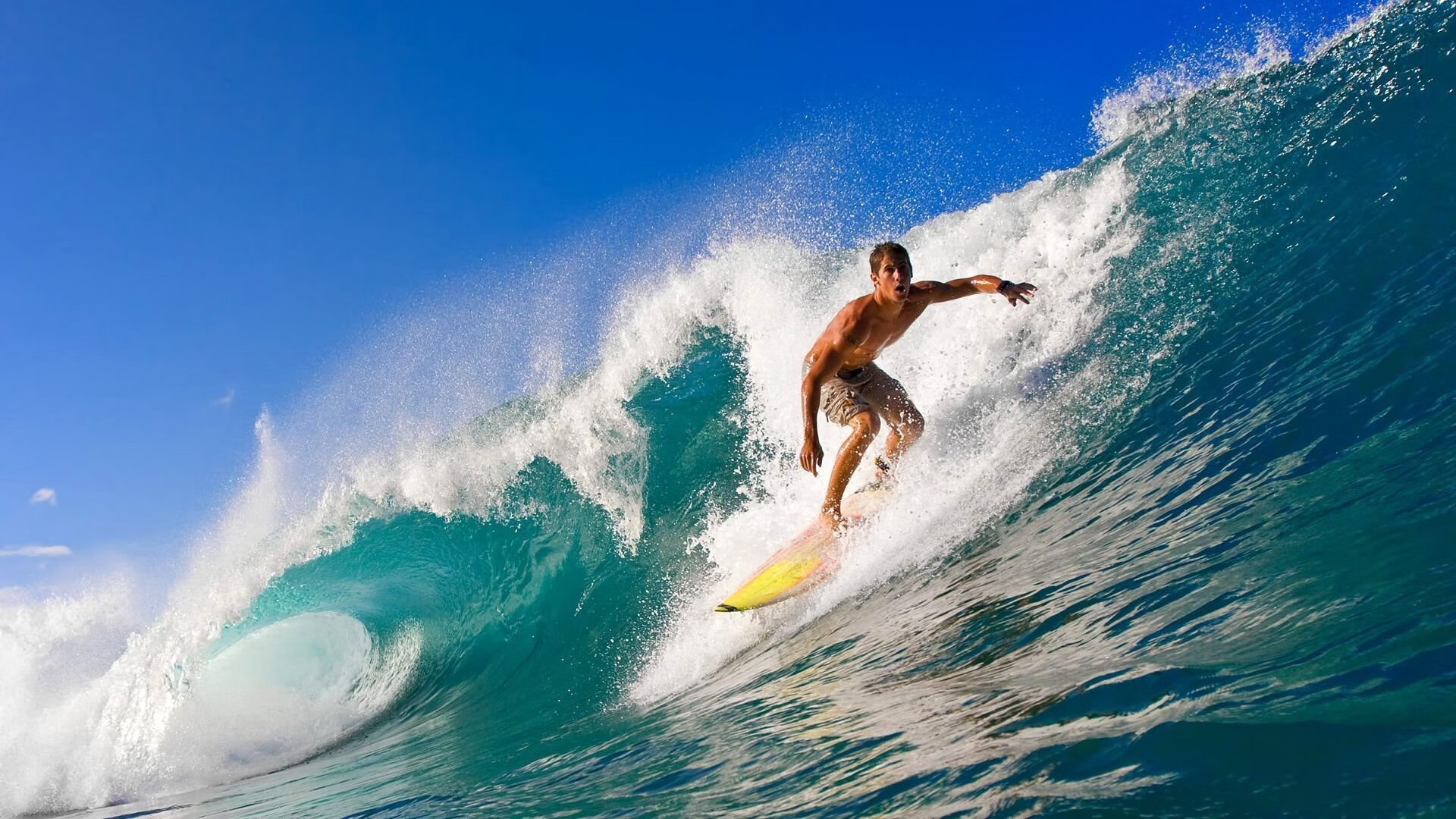 800米自由泳决赛 梅尔滕斯全程稳定输出，800米自由泳比赛视频